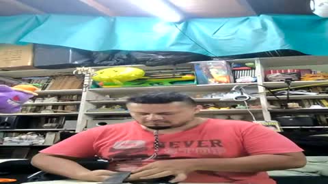 Alfa online show from August 11, 5:31 am