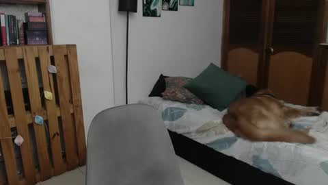 alicee_logan_ online show from July 26, 4:17 am