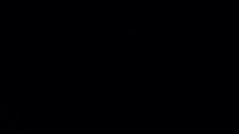 alicelike0101 online show from August 14, 4:16 am