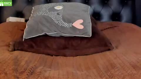 alika_jonhson_ online show from July 31, 6:02 pm