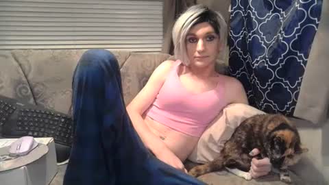 Alisha online show from August 4, 10:23 am