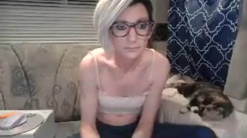 Alisha online show from August 7, 10:26 am