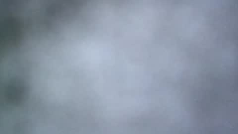 all_most_sane online show from May 18, 4:07 pm