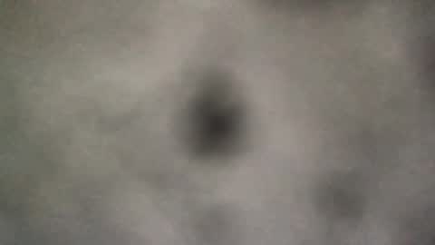 all_most_sane online show from August 6, 4:17 pm