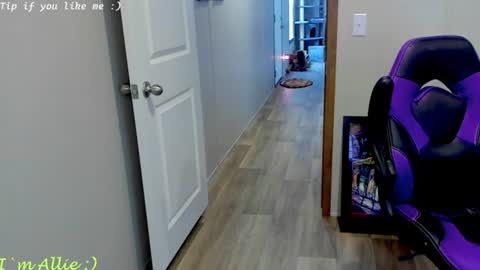 Allie online show from August 1, 5:08 pm