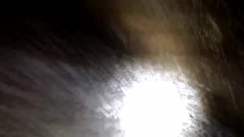allwolf0323 online show from June 8, 6:25 pm