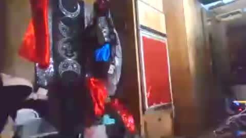 allymoon1369 online show from August 10, 7:43 am