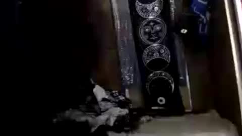 allymoon1369 online show from August 12, 8:49 am