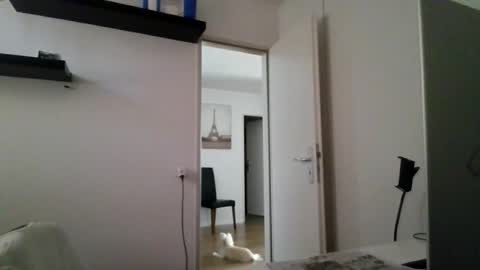 alphah_hunk online show from August 16, 9:57 am