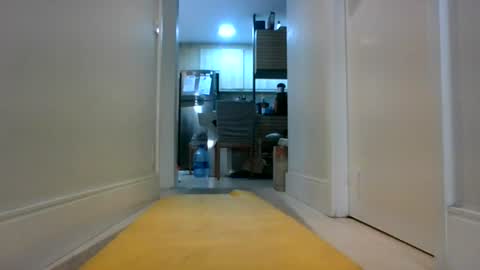 alphatemptation69 online show from July 29, 2:40 am