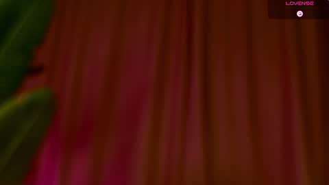 Lilu online show from August 7, 8:25 am