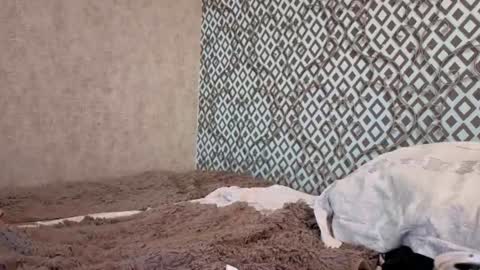 amelyay online show from August 15, 5:44 am