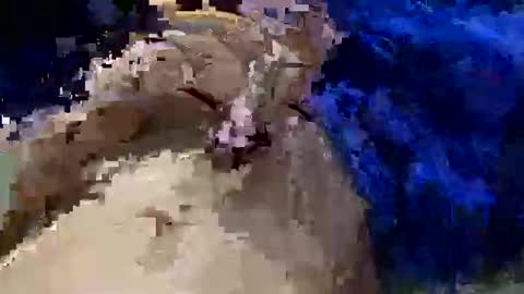 andressdaddy online show from June 10, 6:36 pm
