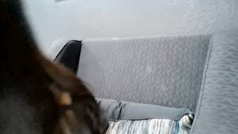 angiesexycutiexo online show from September 6, 2:06 am
