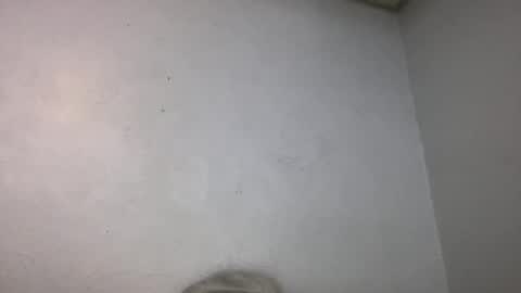 Animeboygirls online show from July 26, 7:13 am