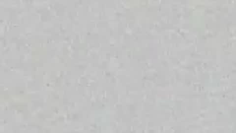    online show from August 18, 8:42 am
