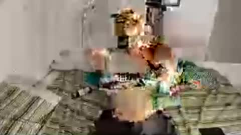 annrox online show from July 20, 4:04 am