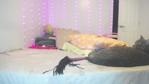 anny_bunny1 online show from July 24, 5:10 am