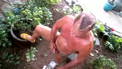 anoaklawnguy online show from June 28, 2:53 pm