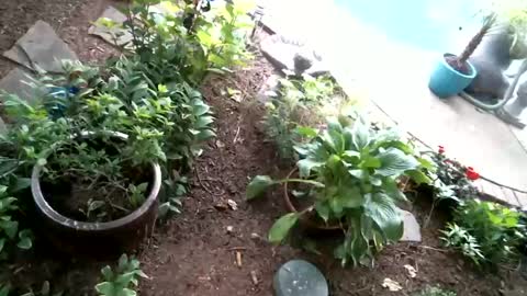 anoaklawnguy online show from June 28, 3:59 pm