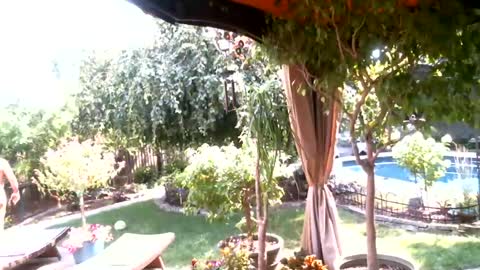 anoaklawnguy online show from July 26, 3:28 pm