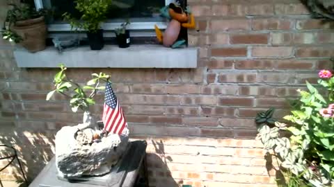 anoaklawnguy online show from July 26, 4:34 pm