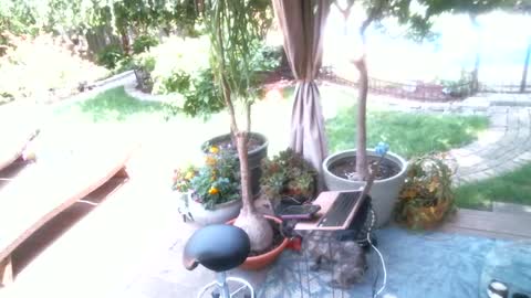 anoaklawnguy online show from August 8, 6:41 pm