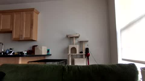 anomalyallie online show from June 26, 1:58 pm