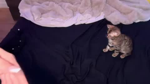Anya online show from July 28, 11:55 pm
