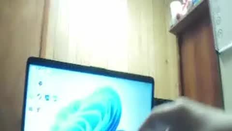 anythingbutordinary online show from May 11, 5:42 am