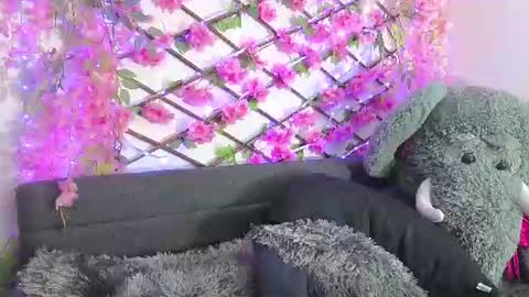 aria_silk online show from August 15, 2:04 am
