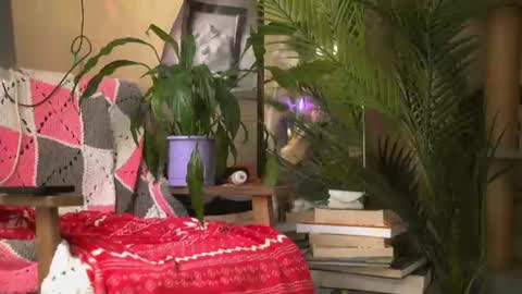 Olivka online show from August 9, 9:32 am