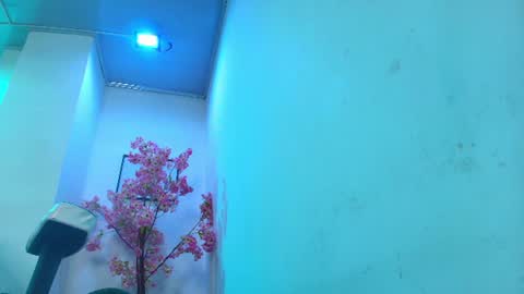 arianna_sweeet online show from August 11, 4:25 am