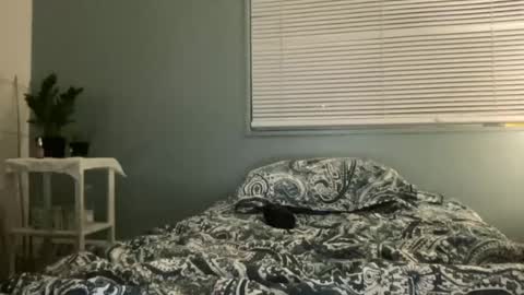 arielbliss69 online show from July 14, 2:17 am