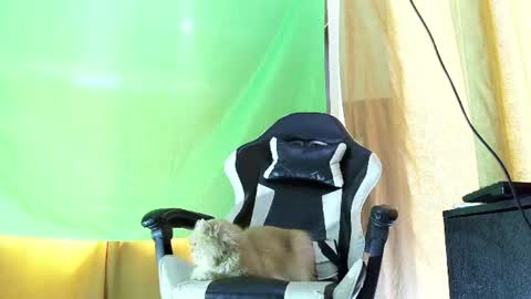 aronmiller online show from July 21, 2:08 pm