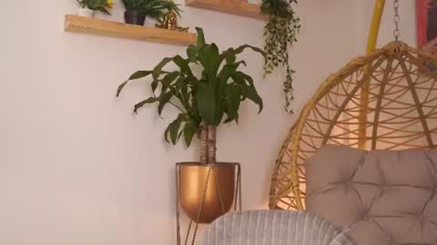 Amanda    amanda michii  ig online show from July 8, 3:21 am