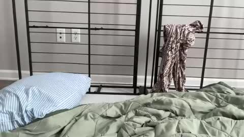 ashley865944 online show from September 8, 9:33 pm