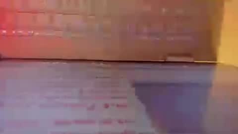 Ashley online show from August 1, 4:24 pm