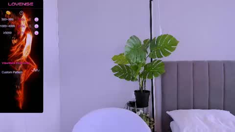 Ashley online show from August 14, 3:48 pm