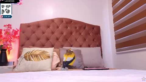 Dhimple online show from July 15, 4:24 am