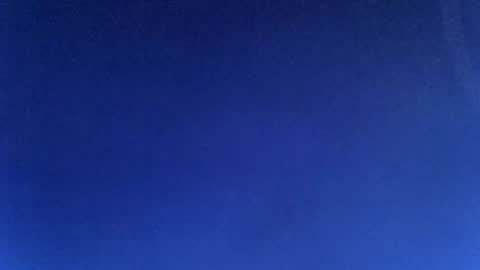 Starr online show from August 14, 12:25 am