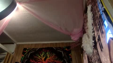 Destiny Nicole online show from July 2, 9:54 am