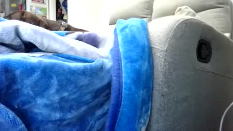 aussie_ozzie online show from August 8, 6:46 am