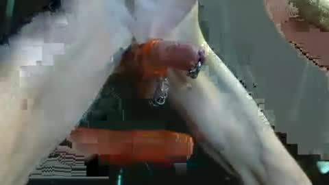 aussieraz online show from June 22, 8:31 pm