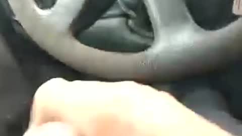 b269852976100 online show from July 30, 1:29 pm