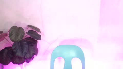  Amanda   online show from July 6, 7:33 am