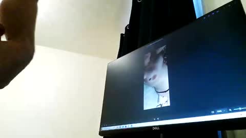 baddboy24777 online show from June 8, 11:44 pm