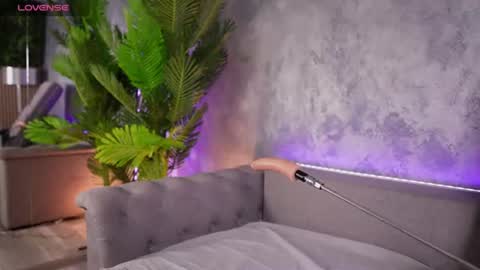 Bambi online show from August 5, 3:15 am