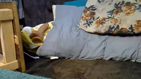 Moon online show from August 14, 11:03 am