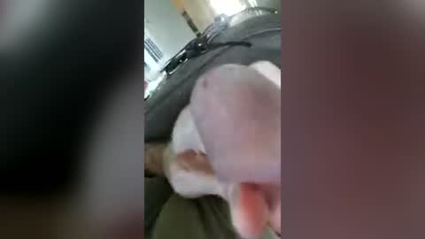 barbitall online show from July 2, 6:42 pm